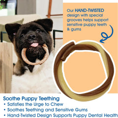 N-Bone Puppy Teething Rings Taste of Texas Queso Con Carne Flavor 3 Count