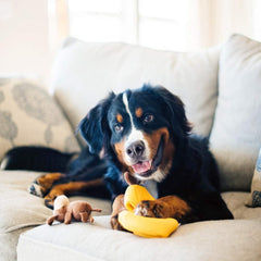 ZippyPaws Zippy Burrow Monkey 'n Banana Hide and Seek Puzzle Dog Toy
