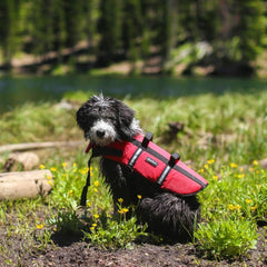 ZippyPaws Adventure Dog Life Jacket - Dog Life Vest for Swimming & Boating, Fits Small Pets, Lightweight Dog Flotation Device for Water Safety, Padded Handle, Adjustable Fit, 33-40" - X-Large, Red