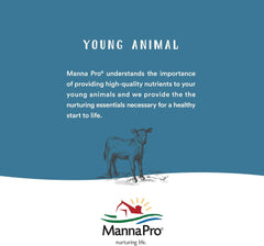 Manna Pro BOUNCE BACK Electrolytes – 4 oz