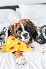 ZippyPaws Squeakie Emojiz Pizza Slice Plush Dog Toy