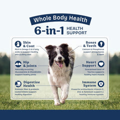 Natural Balance Health Protection Dry Dog Food – Whole Body Health, Easy on Digestion Dog Food Made with Lamb, Brown Rice & Pumpkin for Dogs - 4lbs.