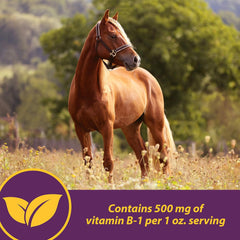 Vita B-1 Crumbles – 20 lbs