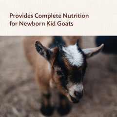Manna Pro® Kid Colostrum – 8 oz Supplement for Newborn Goat Kids
