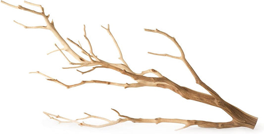 Galápagos (05517) Staghorn Branch™