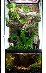 Zoo Med Paludarium Habitat Kit