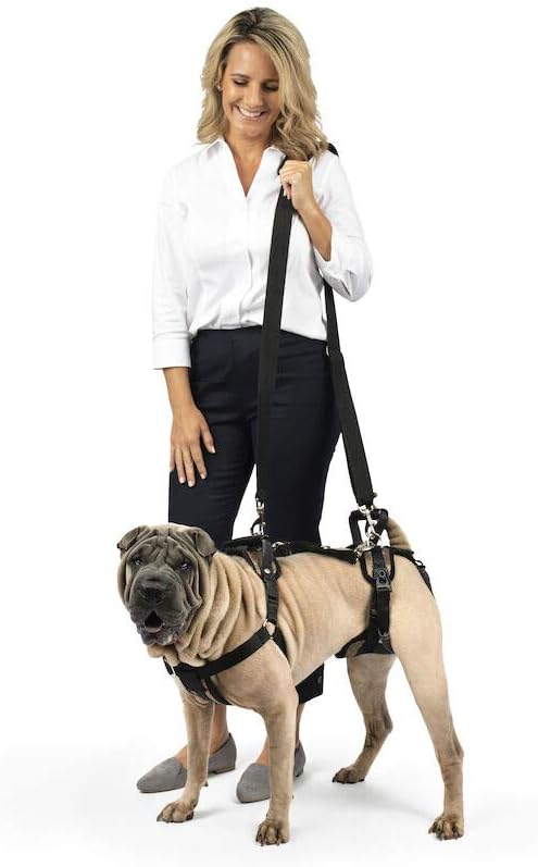 Solvit Product PetSafe CareLift Support Harness - Full Body Lifting Aid with Handle - Great for Pet Mobility and Older Dogs - Comfortable, Breathable Material - Easy to Adjust, Medium
