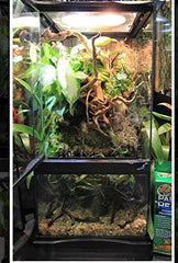 Zoo Med Paludarium Habitat Kit