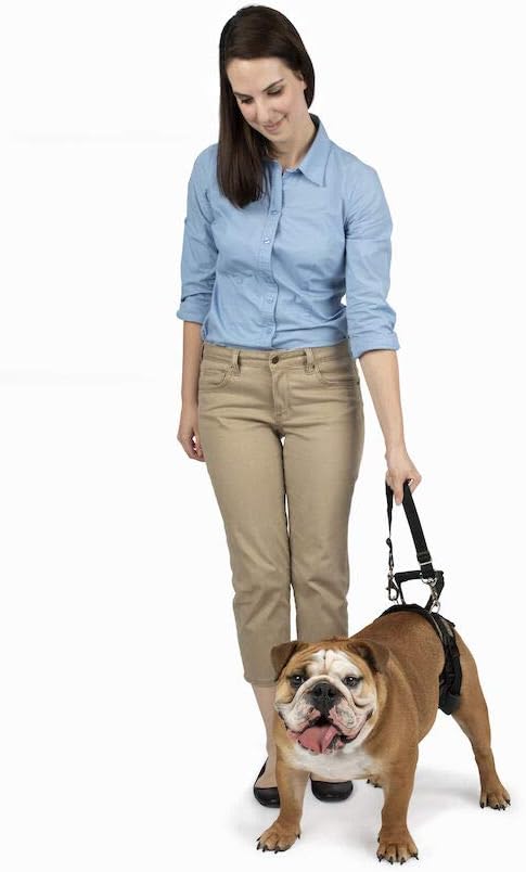 Solvit Product PetSafe CareLift Rear Support Harness - Lifting Aid with Handle and Shoulder Strap - Fits Waist Measuring 19-31 inches, Dog Weight 35lb-70lb, Medium, Black