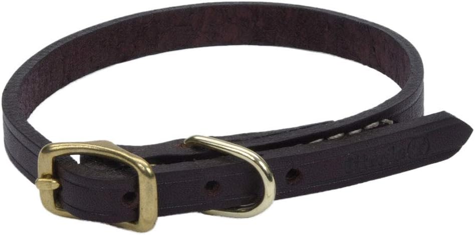 Coastal Pet - Circle T Latigo Leather Town Dog Collar with Brass Hardware - Brown and Gold