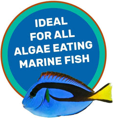 Hikari Medium Marine Herbivore Probiotic Enhanced Sinking Pellets, 3.17 Ounces Each