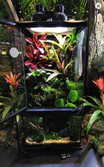 Zoo Med Paludarium Habitat Kit