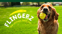 Flingerz Ultimate Fetch Toss & Launch Dog Toy Thrower (Replacement 2 Pack of Balls)