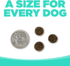 NutriSource Choice Dry Dog Food, Performance Chicken Meal & Barley Recipe, 40 lb.