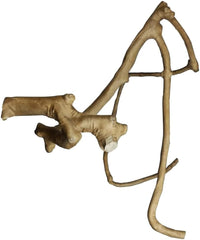 A&E Cage Co. Java Wood Multi Branch Perch