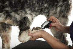 Andis® Trim 'N Go Cordless Trimmer