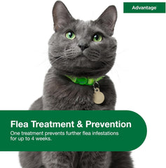 Elanco Advantage™ for Large Cats - 2 Monthly Doses