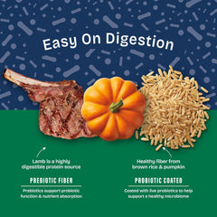 Natural Balance Health Protection Dry Dog Food – Whole Body Health, Easy on Digestion Dog Food Made with Lamb, Brown Rice & Pumpkin for Dogs - 4lbs.