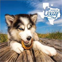 N-Bone® Puppy Teething Rings – Taste of Texas Burnt Ends Flavor (3 Pack)