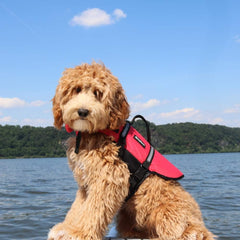 ZippyPaws Adventure Dog Life Jacket - Dog Life Vest for Swimming & Boating, Fits Small Pets, Lightweight Dog Flotation Device for Water Safety, Padded Handle, Adjustable Fit, 33-40" - X-Large, Red