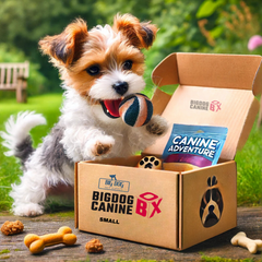 Big Dog Canine Box for Small Dogs – New Surprise of Premium Treats & Toys Every Time You Order