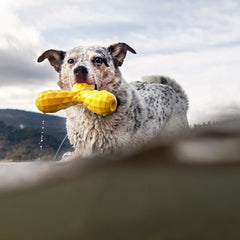 Hound2O Outdoor Dog Toys | Squeaky Boomerang Chew Toy for Dogs | Bright Yellow Color for Interactive Play | Durable Toy Made from Non-Toxic Materials