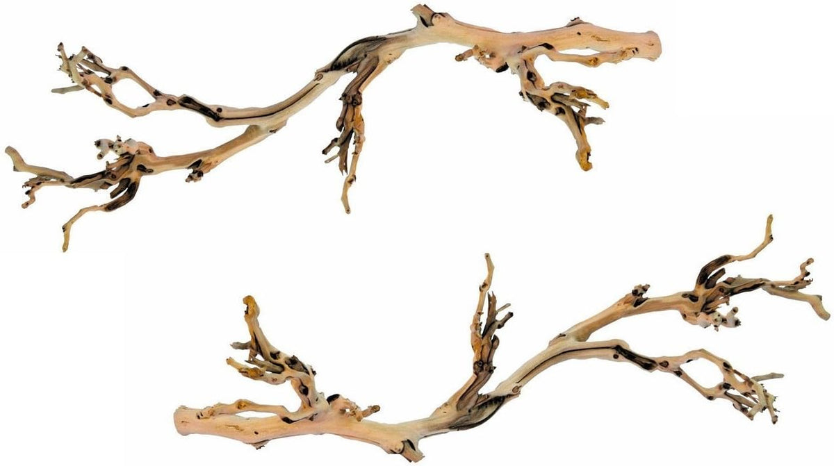 Exo Terra Forest Branches (2 Pack)