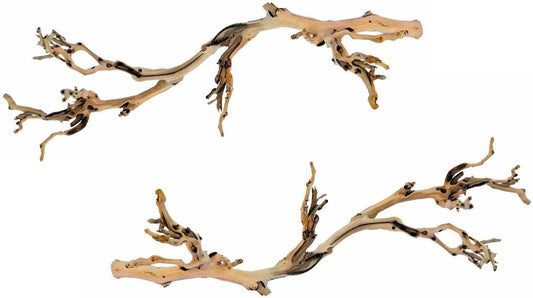Exo Terra Forest Branches (2 Pack)