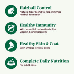 Nutro Wholesome Essentials Hairball Control Dry Cat Food Chicken & Brown Rice Recipe, 3 lb. Bag