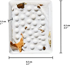 Mineral Block for Birds with Dried Apples, Calcium Supplement Bird Treat