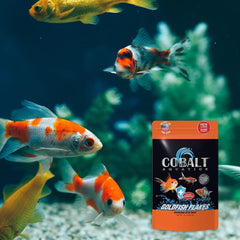 Cobalt Select Tropical Flakes