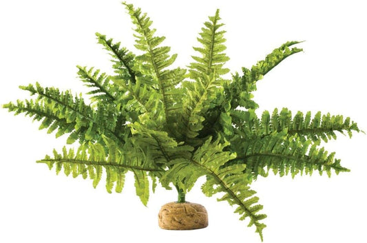 Exo Terra,Reptiles, Amphibians Boston Fern Terrarium Plant