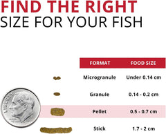 Fluval Bug Bites Cichlid Fish Food, Pellets for Medium to Large Sized Fish, 3.53 oz.