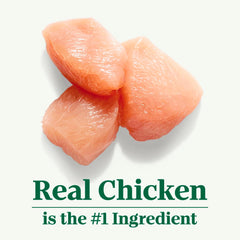 Nutro Wholesome Essentials Hairball Control Cat Food Dry Chicken & Brown Rice Recipe