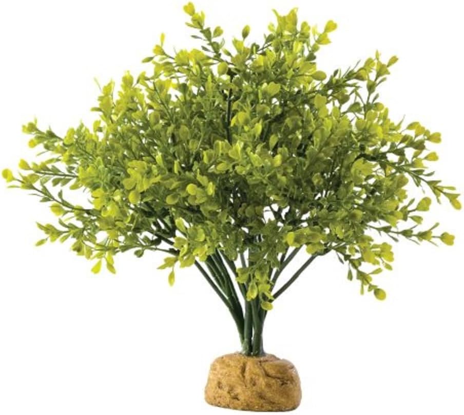 Exo Terra Boxwood Bush Terrarium Plant