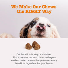 Zesty Paws Dog Allergy Relief - Anti Itch Supplement - Omega 3 Probiotics for Dogs - Digestive Health - Soft Chews for Skin & Seasonal Allergies - with Epicor Pets - Senior - Salmon - 90 Count