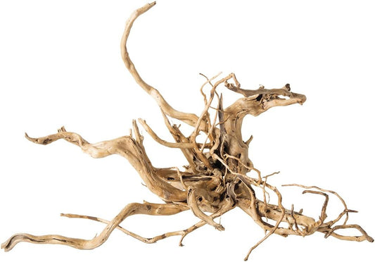 Galápagos Spider Wood, Natural, 12 - 24"