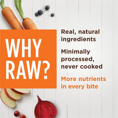 Instinct Raw Boost Mixers, Freeze Dried Dog Food Topper with Functional Ingredients, Grain Free, Real Chicken - Skin & Coat Health