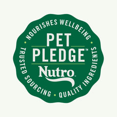 Nutro Natural Choice Adult Large Breed Dry Dog Food, Chicken and Brown Rice Recipe, 30 lbs.