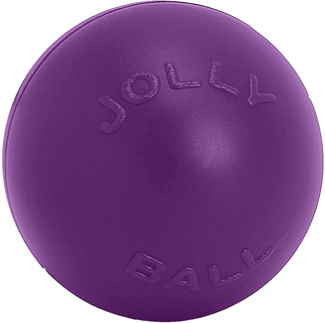 Jolly Pets Push-n-Play Ball Dog Toy