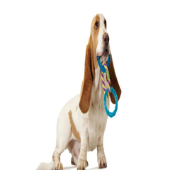 Petstages Rosewood Petstages Orka Triple Links Dog Toy