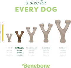 Benebone Wishbone Durable Dog Chew Toy for Aggressive Chewers, Real Chicken, Made in USA, for Any breed