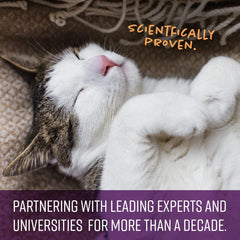 SENTRY PET Care Sentry Calming Spray for Cats, Uses Pheromones to Reduce Stress, Easy Spray Application, Helps Cats with Separation, Travel, Loud Noises, and Anxiety, Packaging May Vary