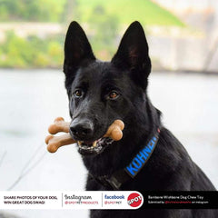 SPOT Bam-Bones Wishbone - Made with Strong Bamboo Fiber, Durable Long Lasting Dog Chew for Light to Moderate Chewers, Great Toy for Adult Dogs & Teething Puppies Under 50lbs, Chicken Flavor