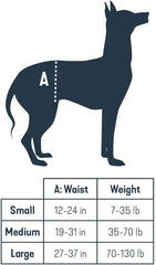 PetSafe CareLift Rear Support Harness - Lifting Aid with Handle - Great for Pet Mobility and Older Dogs - Comfortable, Breathable Material - Easy to Adjust - Small