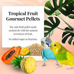 LAFEBER'S Tropical Fruit Gourmet Pellets Pet Bird Food, No Added Sugar, Made with Non-GMO and Human-Grade Ingredients, 1.25 lb