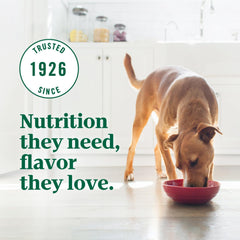 Nutro Ultra Adult Dry Dog Food with a Trio of Proteins from Chicken, Lamb and Salmon, 4 lb Bag