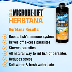 MICROBE-LIFT HERB08 Herbtana for Freshwater and Saltwater Home Aquariums and Fish Tanks