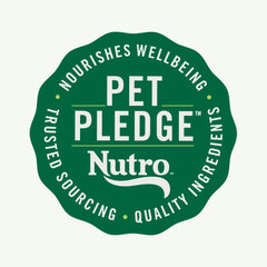 Nutro Natural Choice Puppy Dry Dog Food, Chicken and Brown Rice Recipe, 5 lbs.