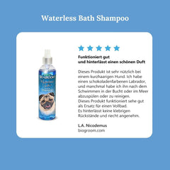 Bio-Groom Waterless Dog Shampoo - Tearless, No-Rinse, Dog Bathing Supplies, Puppy Wash, Cat & Dog Grooming Supplies, Cruelty-Free, Made in USA, Dry Shampoo Spray, Dog Products